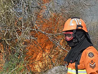 Campanha de Prevenção e Combate a Incêndios Florestais de MS é lançada nesta terça