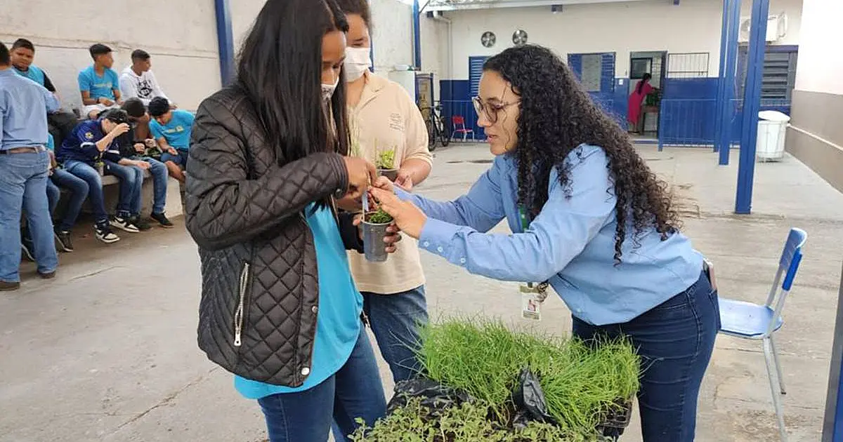 Rede Municipal de Corumbá tem 36 trabalhos na disputa do prêmio Agrinho MS