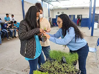 Rede Municipal de Corumbá tem 36 trabalhos na disputa do prêmio Agrinho MS