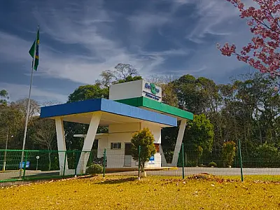 Embrapa coordena painel inovador na AveSui 2023