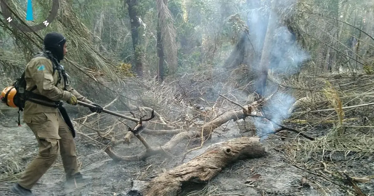 Fogo atingiu o equivalente a 247 campos de futebol no Porto Índio