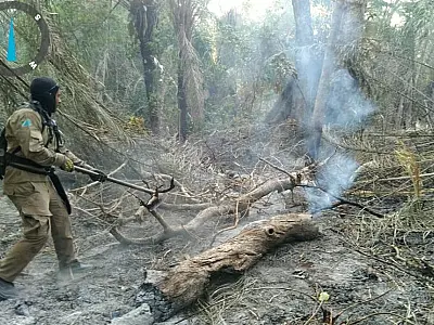 Fogo atingiu o equivalente a 247 campos de futebol no Porto Índio