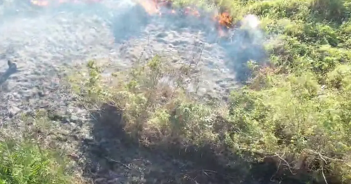 Fogo no Pantanal já consumiu mais de 41 mil hectares