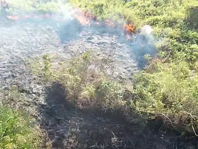 Fogo no Pantanal já consumiu mais de 41 mil hectares