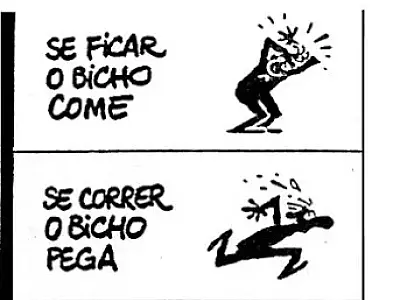 Foforofo