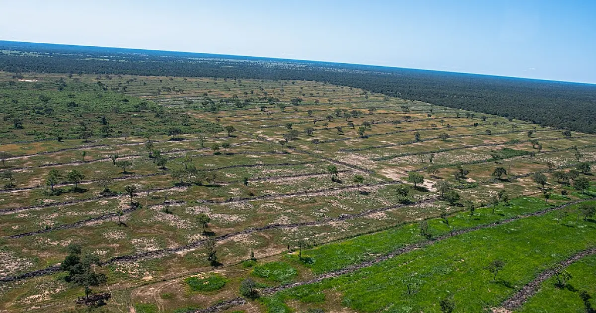 MP cria Unidade Regional de Meio Ambiente com foco na preservação do Pantanal