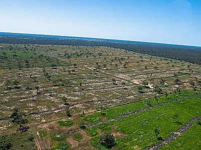 MP cria Unidade Regional de Meio Ambiente com foco na preservação do Pantanal