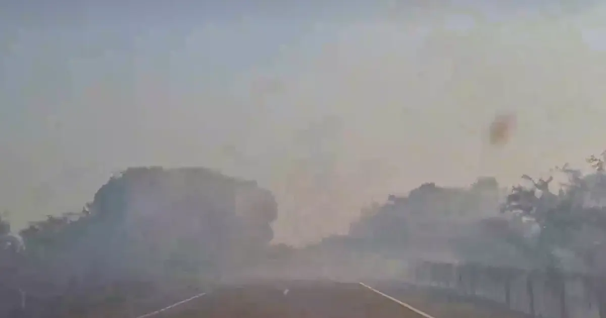 Fumaça na BR 262 assusta quem segue caminho para Corumbá