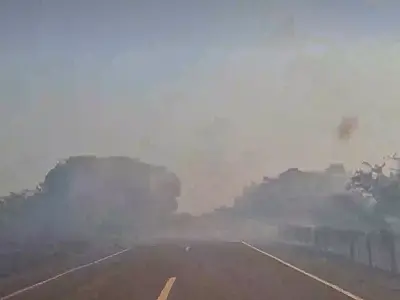 Fumaça na BR 262 assusta quem segue caminho para Corumbá
