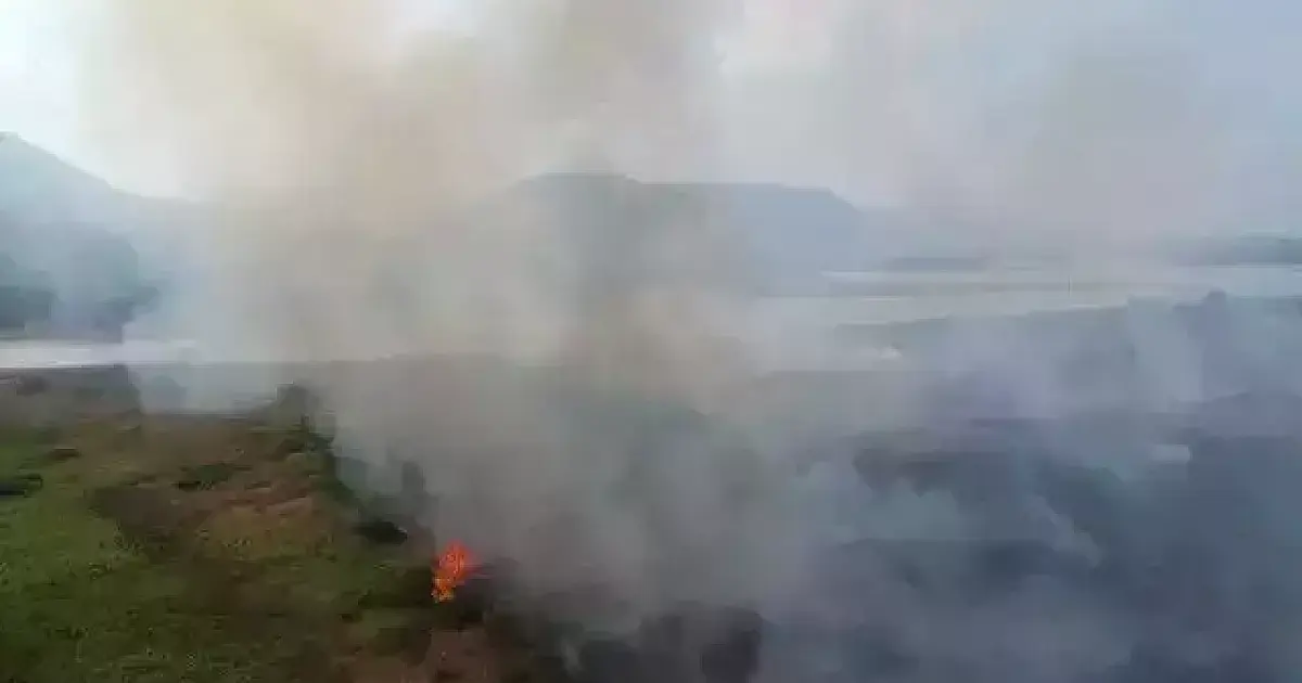 Risco de incêndios faz ministério decretar estado de emergência em MS