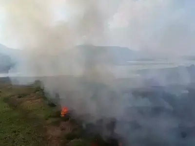 Risco de incêndios faz ministério decretar estado de emergência em MS