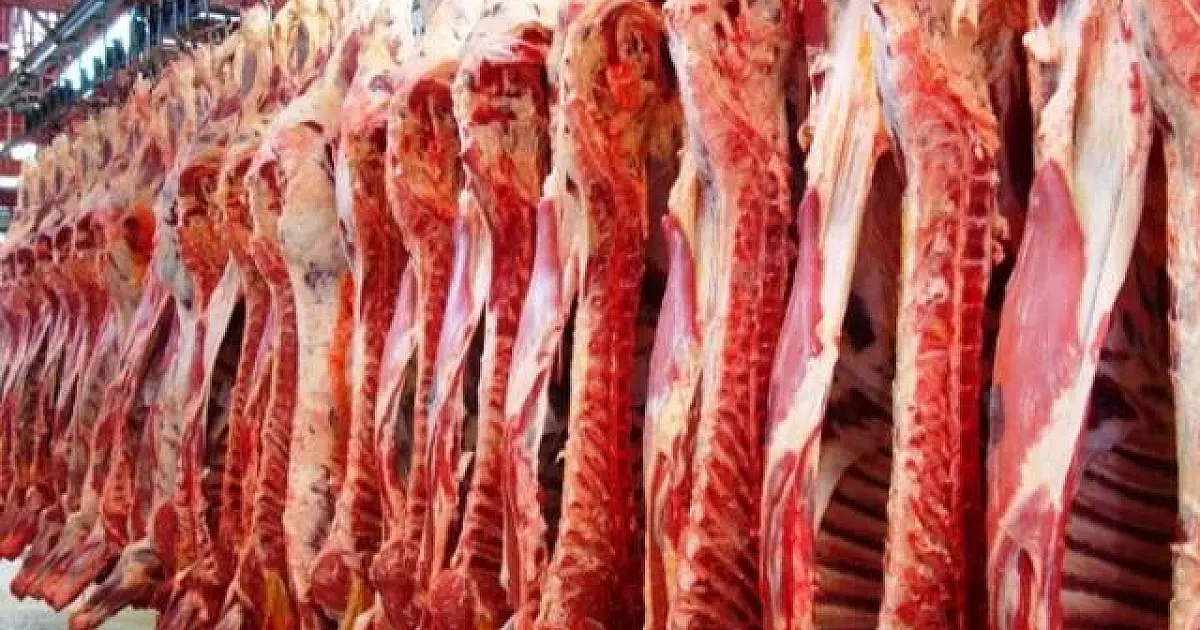 Exportações de carne bovina de MS disparam e somam US$ 1,17 bilhão no semestre