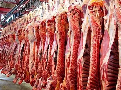 Exportações de carne bovina de MS disparam e somam US$ 1,17 bilhão no semestre