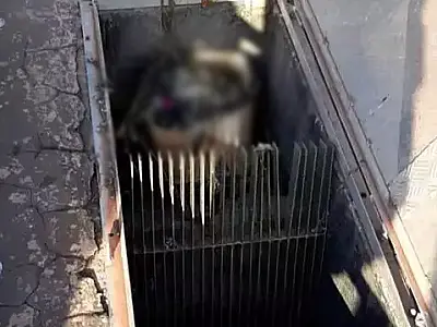 Mãe do feto encontrado no esgoto de Ladário disse que não sabia da gestação
