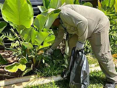MS confirma 23 casos de dengue e registra 577 notificações da doença