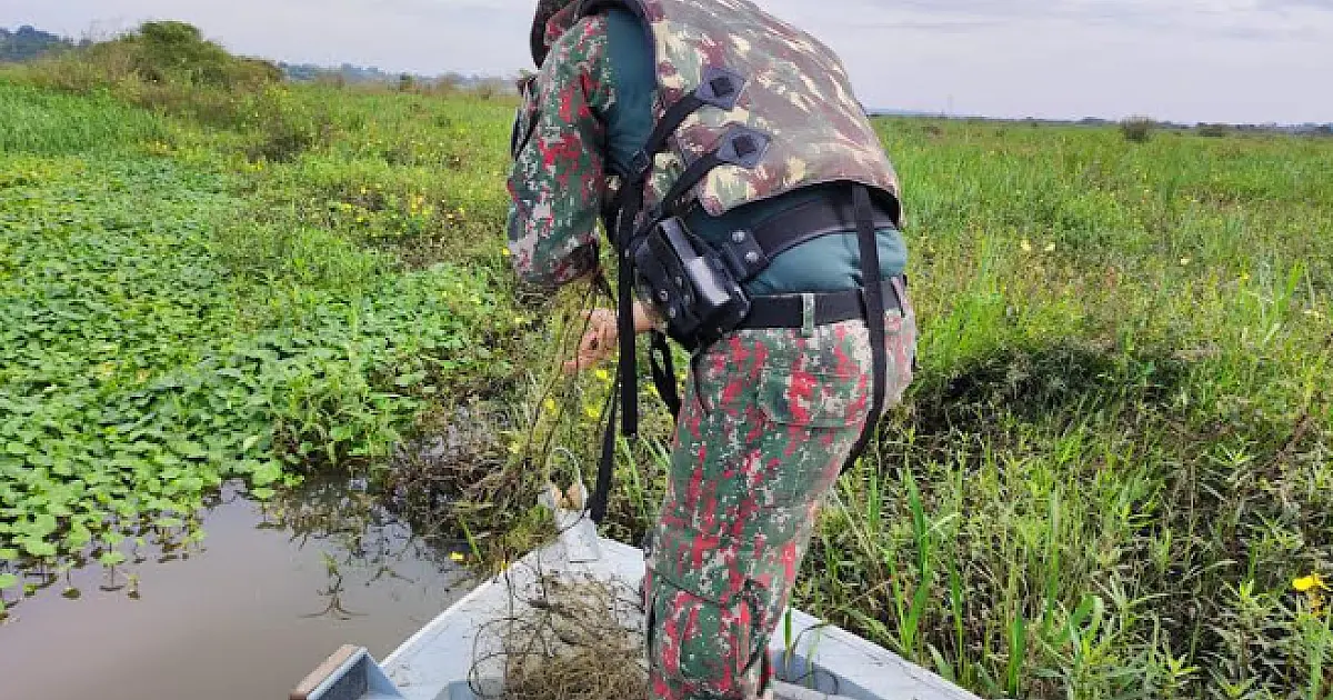Dois paranaenses são multados em R$ 2 mil por pesca ilegal no rio Paraná