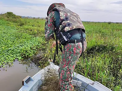 Dois paranaenses são multados em R$ 2 mil por pesca ilegal no rio Paraná