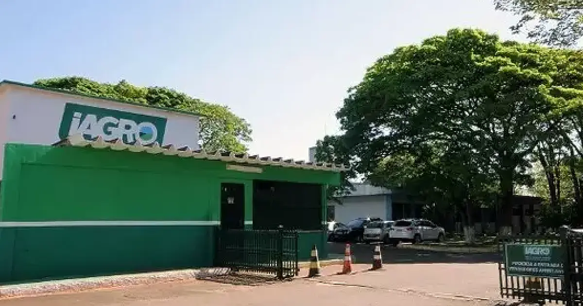 Fiscalização apreende mais de 4 mil toneladas de produtos agropecuários ilegais