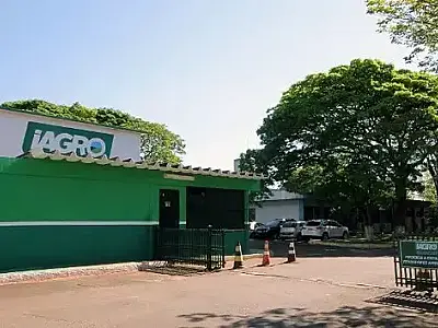 Fiscalização apreende mais de 4 mil toneladas de produtos agropecuários ilegais