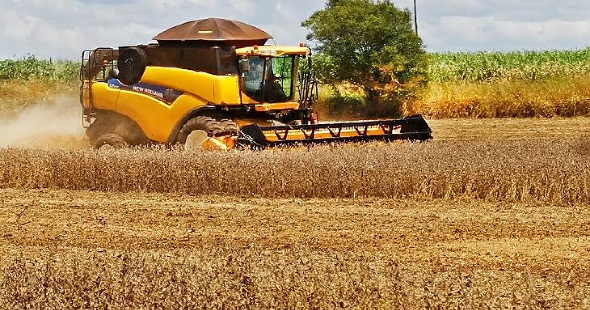 Relatório mantém expectativa de produção em 14 milhões de toneladas de soja em MS