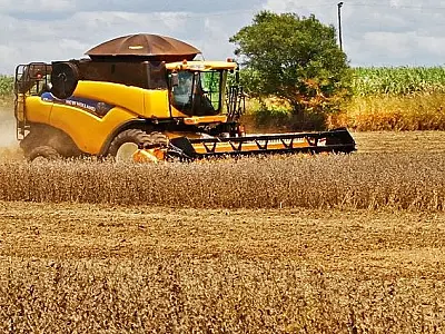 Relatório mantém expectativa de produção em 14 milhões de toneladas de soja em MS