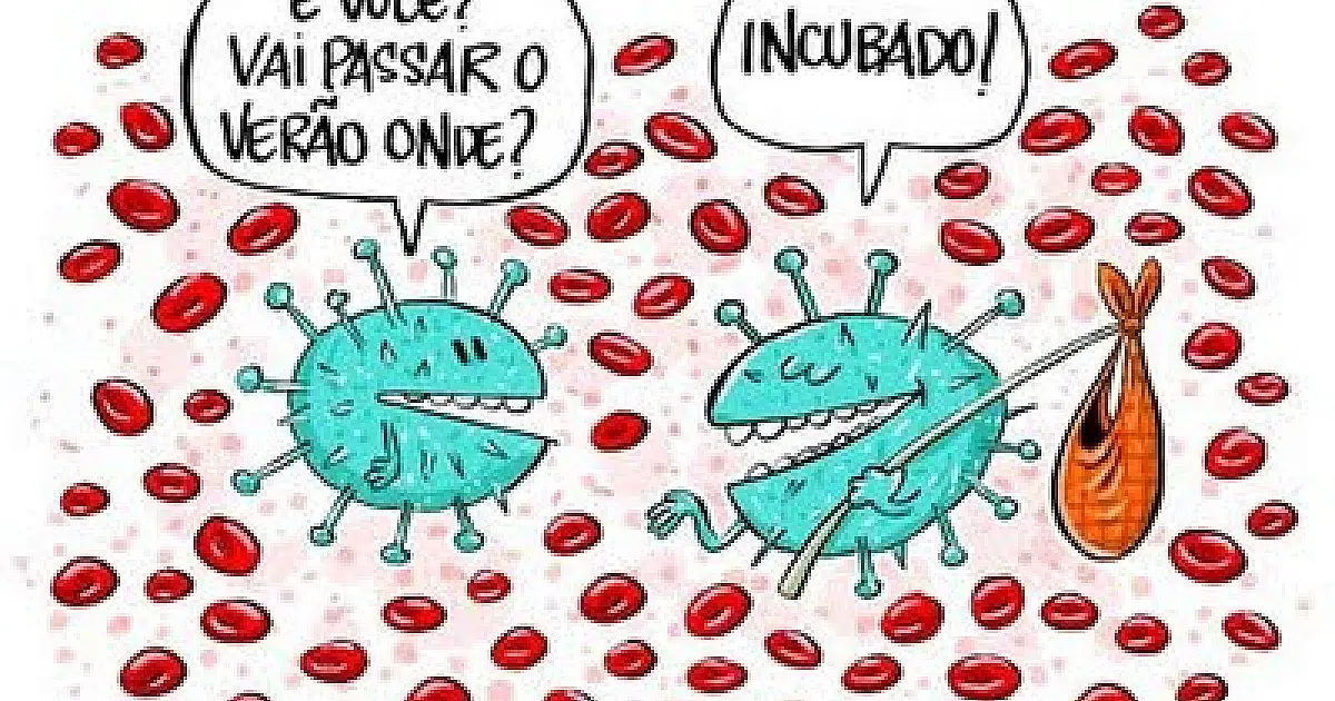 Informação