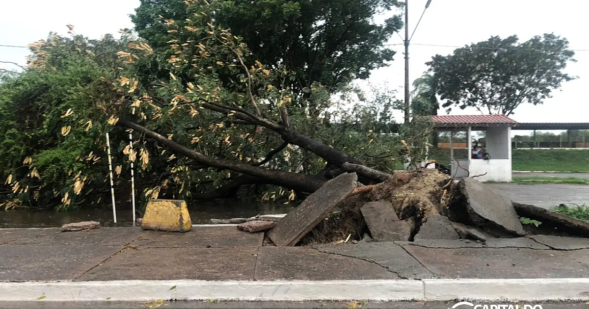 Meteorologia renova alerta para tempestade em todo MS