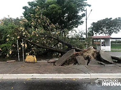 Meteorologia renova alerta para tempestade em todo MS