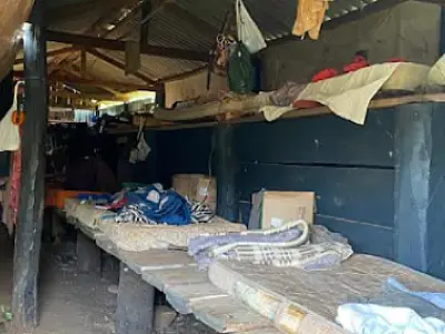 MPT-MS garante reparação a trabalhadores resgatados em condições degradantes de fazenda