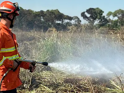 Governo do Estado mantém combate a incêndios no Pantanal com apoio de tecnologia e equipamentos
