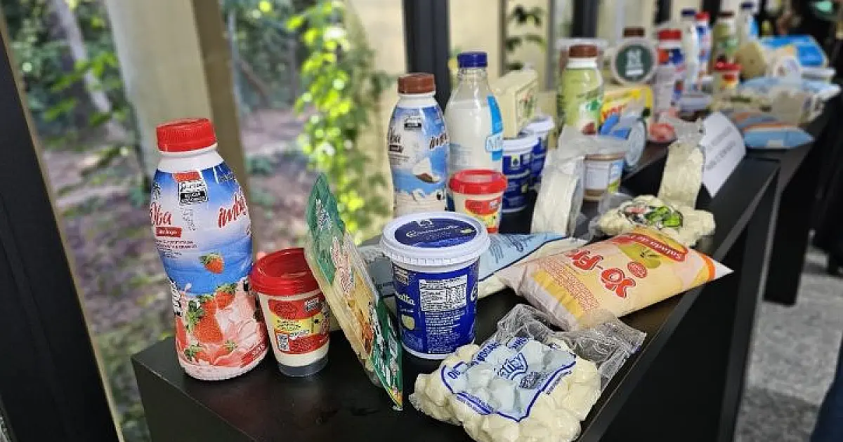 Governo de MS elabora plano de fomento à cadeia produtiva da pecuária leiteira