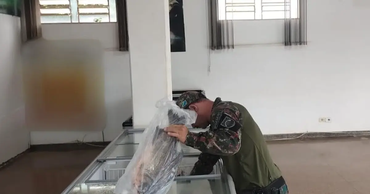 Peixaria fiscalizada pela PMA tinha mais de 70 kg de peixes não declarados em estoque