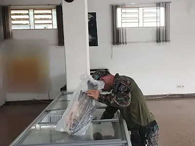 Peixaria fiscalizada pela PMA tinha mais de 70 kg de peixes não declarados em estoque
