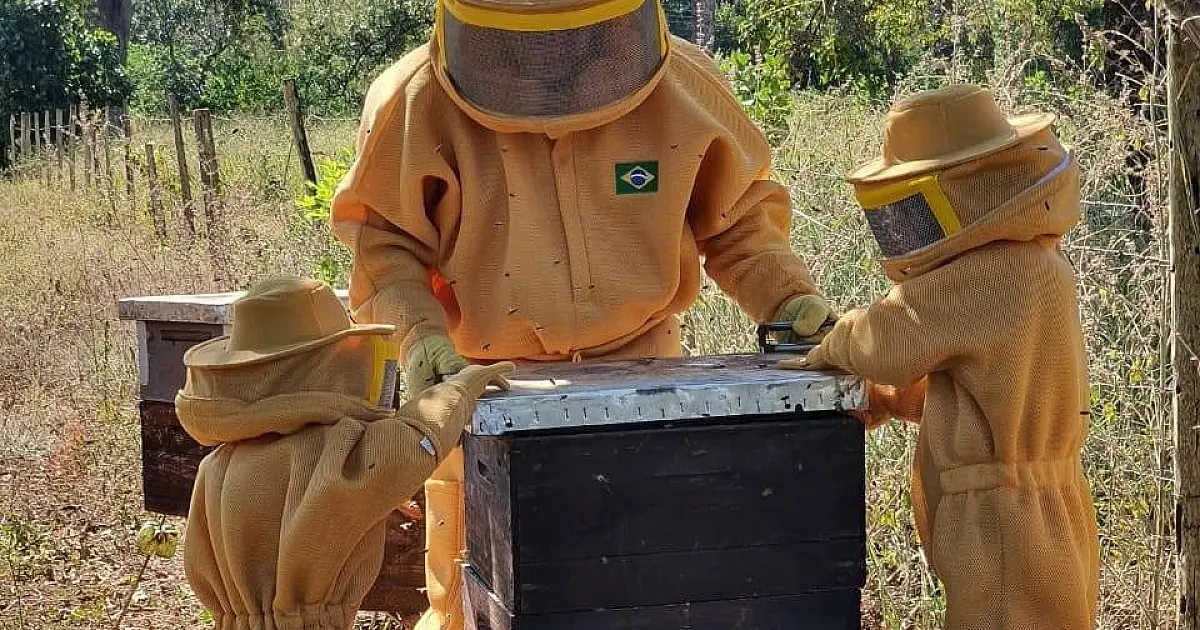 Mel do Pantanal: Oportunidade de negócios para apicultores e preservação da biodiversidade
