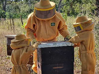 Mel do Pantanal: Oportunidade de negócios para apicultores e preservação da biodiversidade