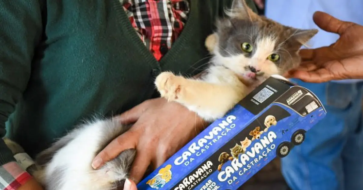 Tutores devem cadastrar pets para participar da Caravana da Castração