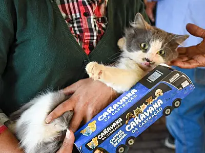 Tutores devem cadastrar pets para participar da Caravana da Castração