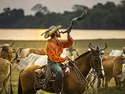 Filmada em MS, novela das 21h coloca o Pantanal em destaque