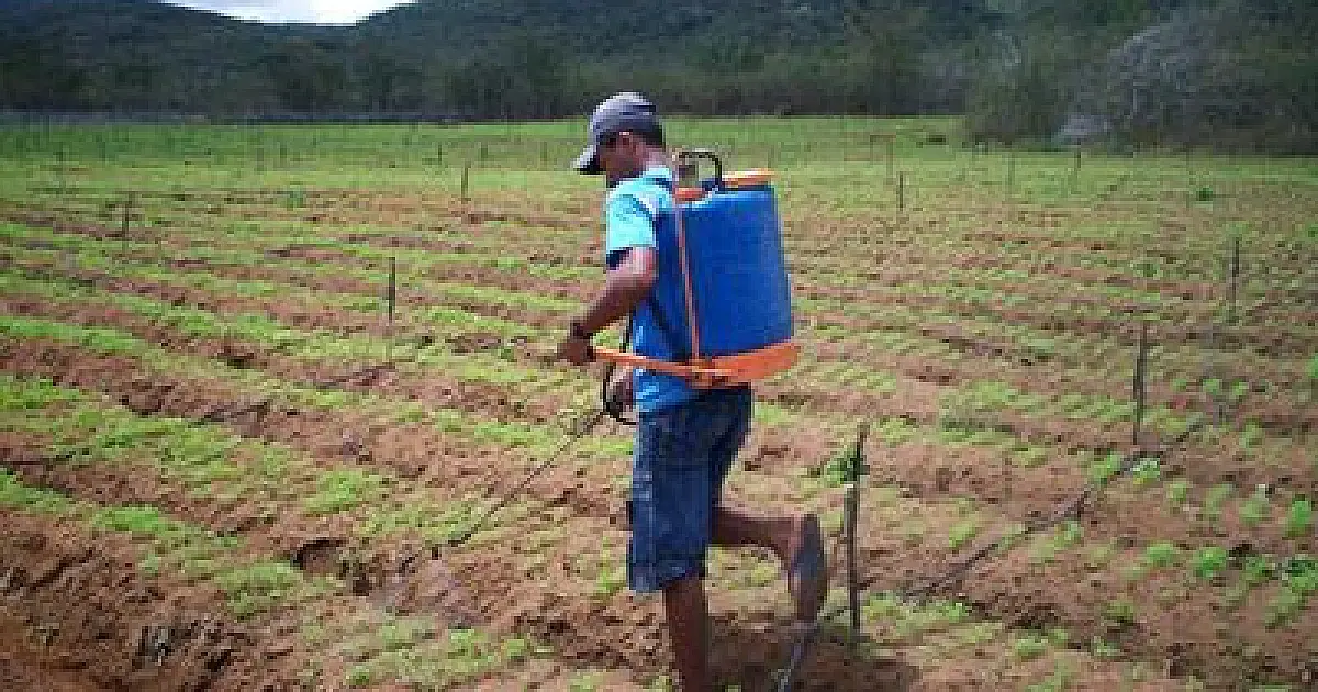 MPT processa União para cancelar registro de agrotóxicos com atrazina