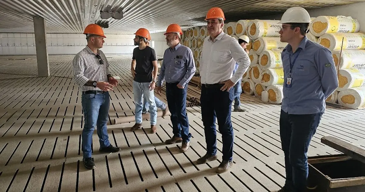 MS é credenciado para abrigar projeto de genética suína para o Centro-Oeste