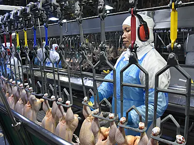 Desemprego de 7% no 1&ordm; trimestre é o menor já registrado desde 2012