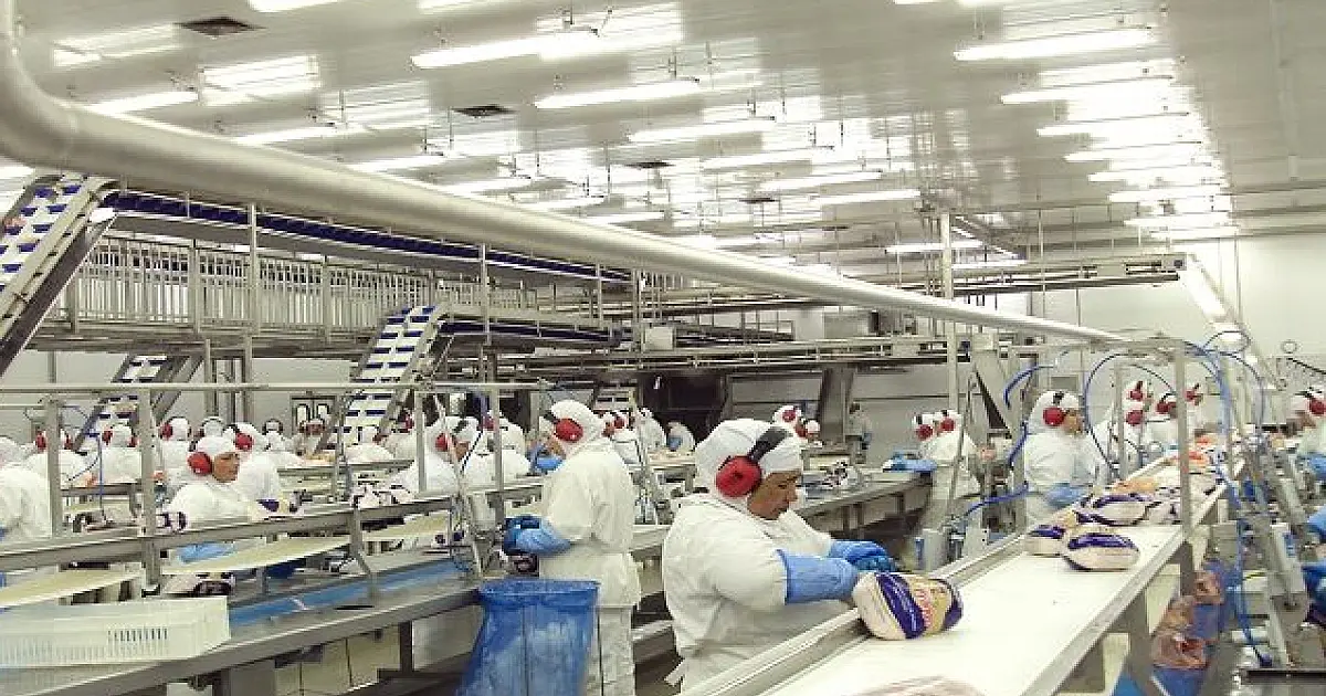 Japão anuncia fim do embargo às exportações de frango de MS