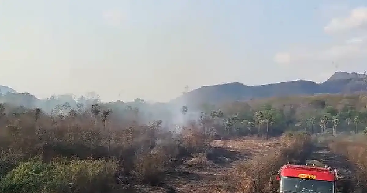 Incêndio destrói 3 hectares de vegetação na região de Maria Coelho