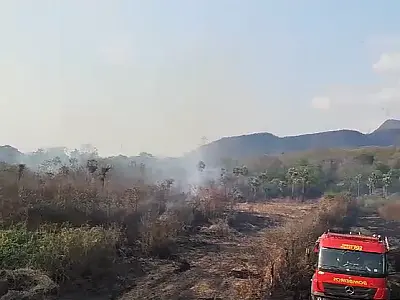 Incêndio destrói 3 hectares de vegetação na região de Maria Coelho
