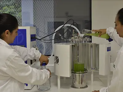 Pesquisadores do ISI Biomassa têm novo projeto aprovado no MS Carbono Neutro