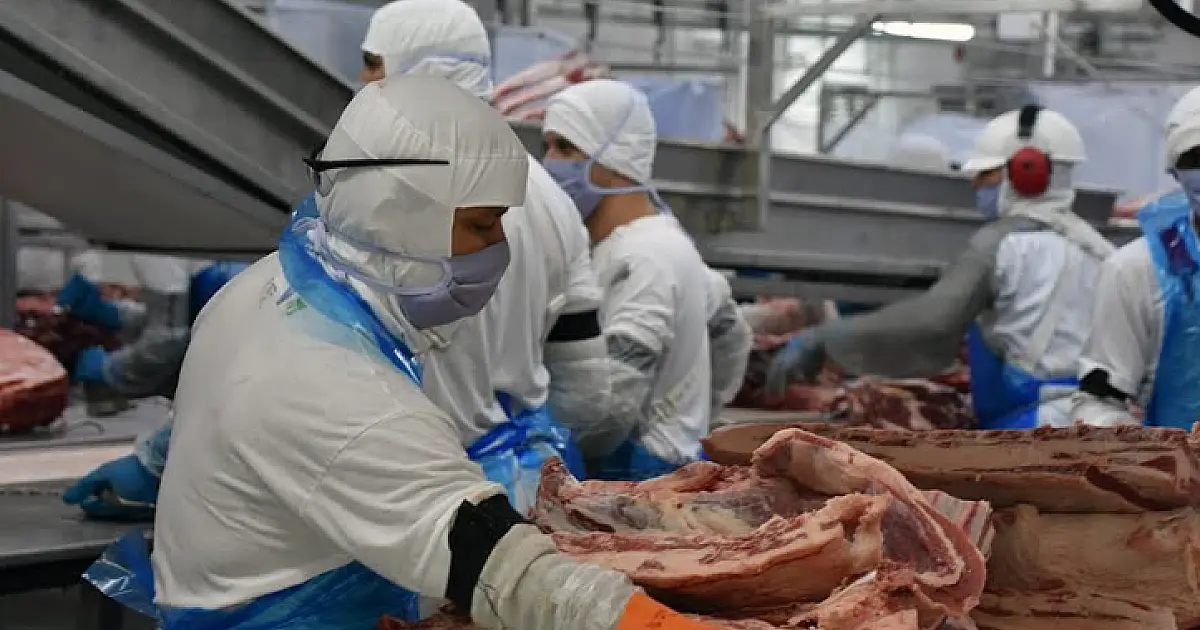 Indústria de MS abriu 5 mil novas vagas de emprego entre janeiro e julho de 2024