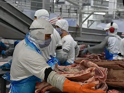 Indústria de MS abriu 5 mil novas vagas de emprego entre janeiro e julho de 2024
