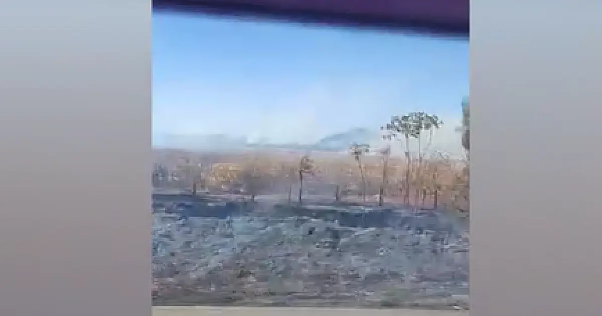 Bombeiros registram o surgimento de seis novos focos de incêndios