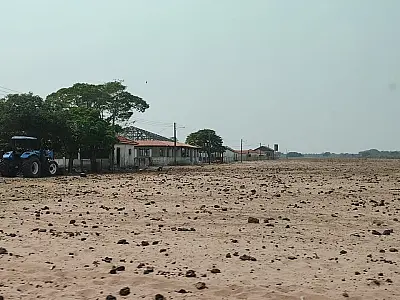 Dono de fazenda abandonada com animais mortos foi identificado e preso pela PMA