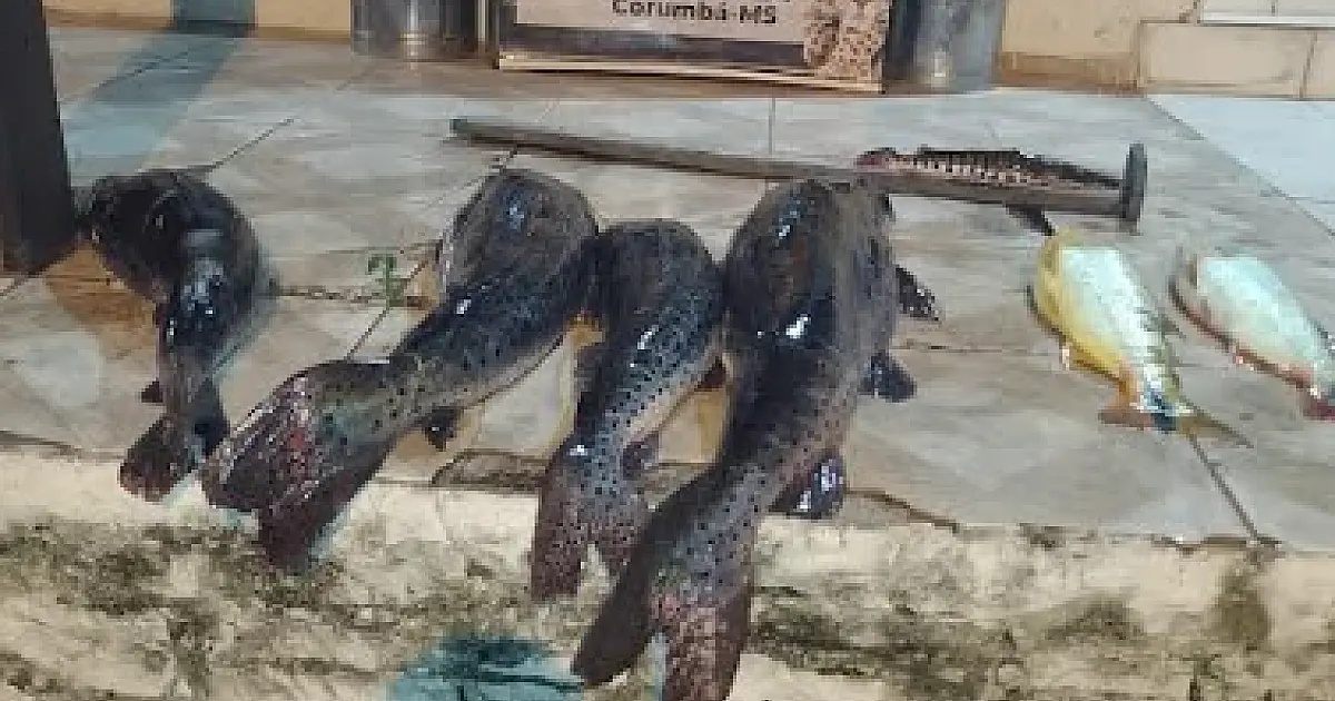 Infratores são surpreendidos pela PMA em ponto de decoada no rio Paraguai